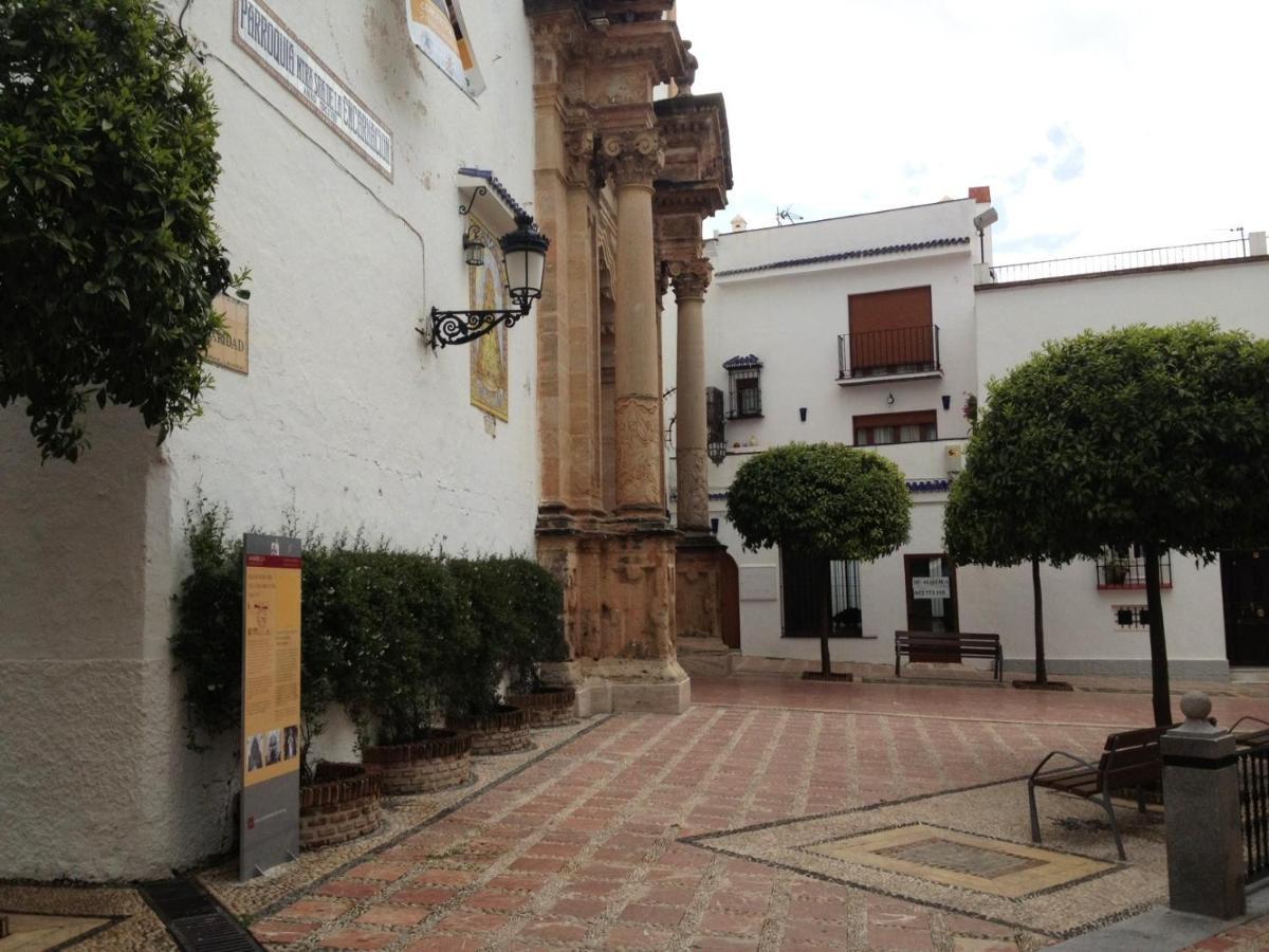 Apartmán Alamo 6 Marbella Exteriér fotografie